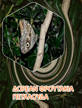 Κουλοχερησ πεταλουδα δωρεαν